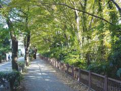 建物南側に広がる「玉川上水緑道」