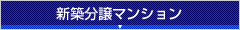 新築分譲マンション